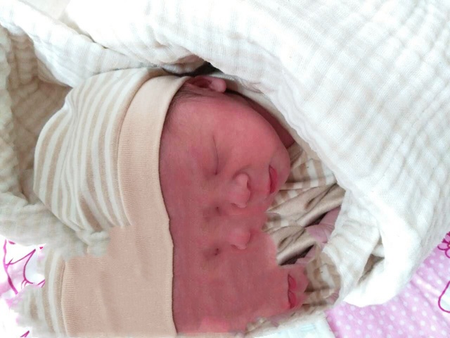 广州代妈
