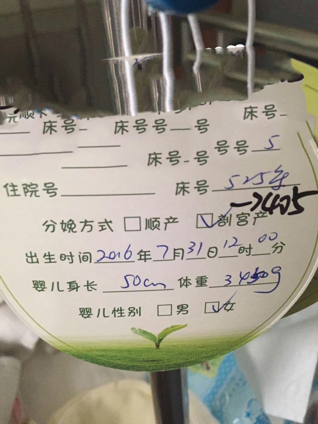 广州代妈