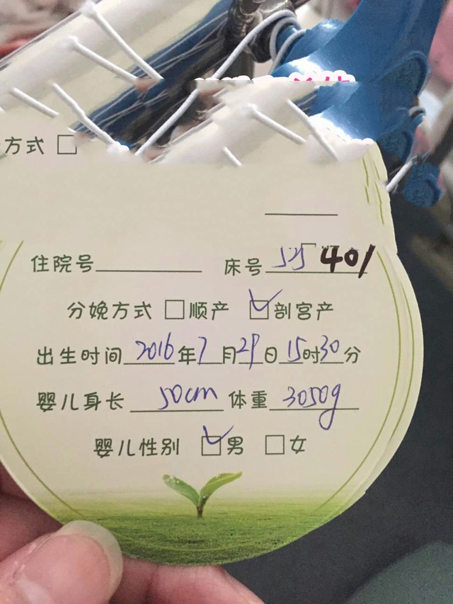 广州代妈