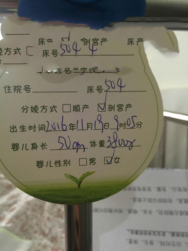 广州代妈