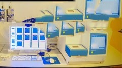 泰国助孕中心发来捷报，恭喜广州L女士