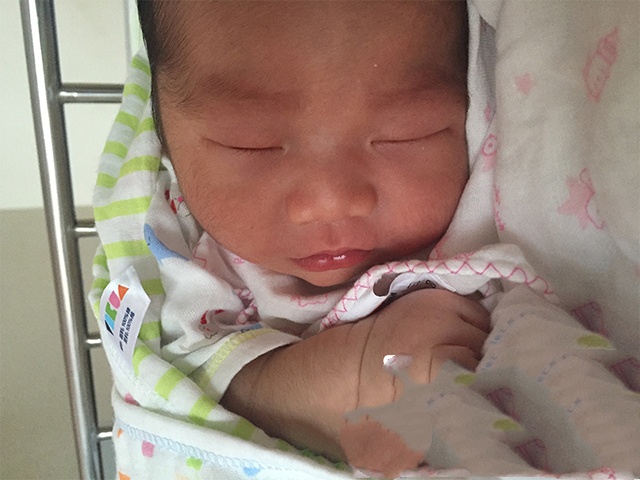 广州代妈