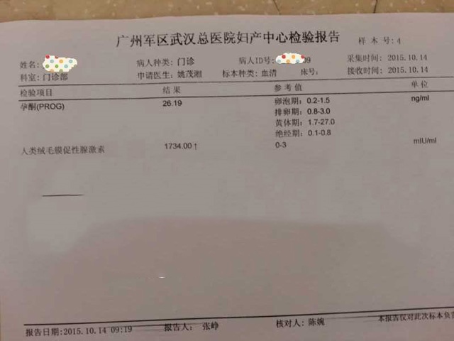 广州代妈