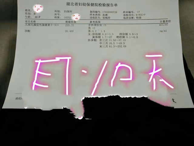 广州代妈