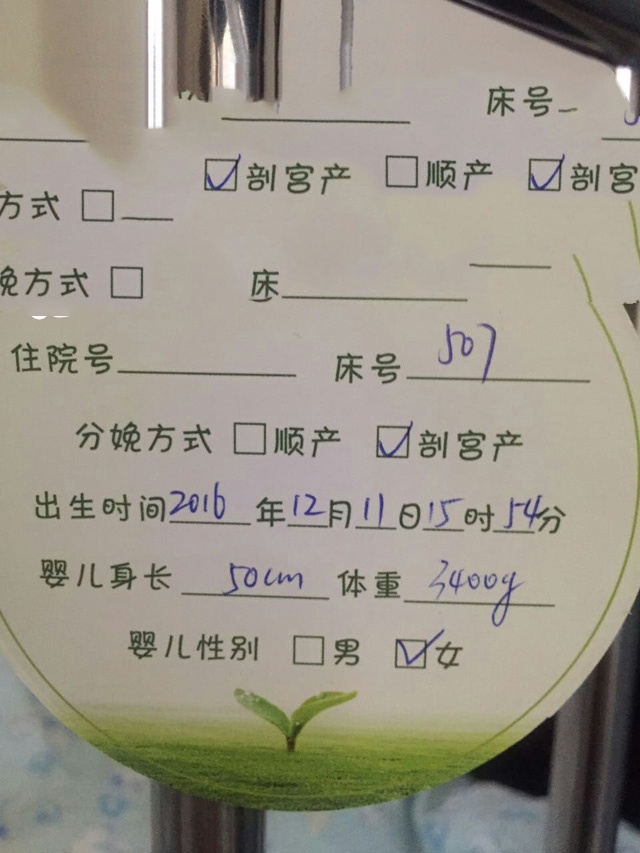 广州代妈
