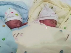 广东N先生喜获双胞胎男宝
