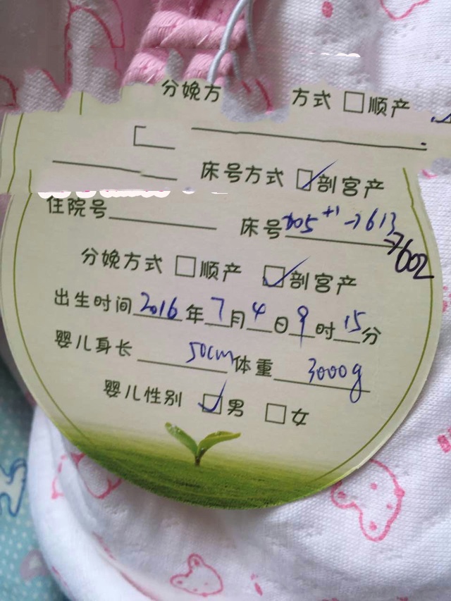 广州代妈