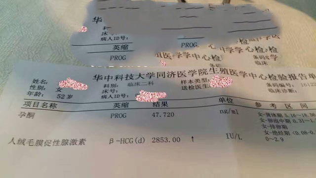 广州代妈
