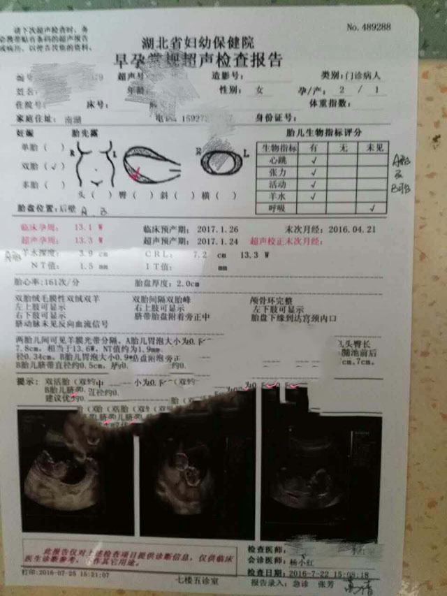 广州代妈