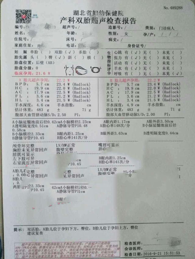 广州代妈